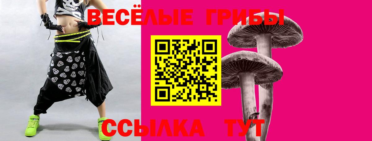 Псилоцибиновые грибы мицелий Брянск